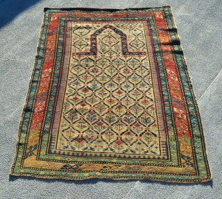 Shirvan prayer rug. 

4'8" x 3'5".                           