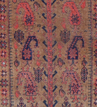 Beautiful and Interesting Baluch Prayer Rug. 72 x 36 inches. Hands, botehs, figures and more. Nice borders. Medium to low pile throughout.           