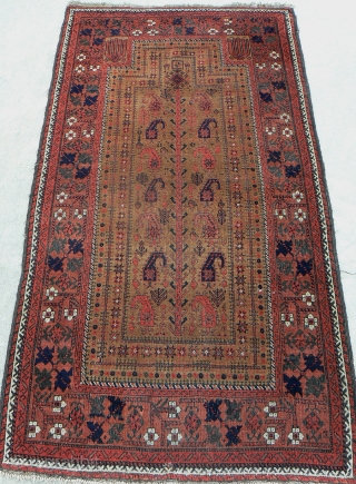 Beautiful and Interesting Baluch Prayer Rug. 72 x 36 inches. Hands, botehs, figures and more. Nice borders. Medium to low pile throughout.           