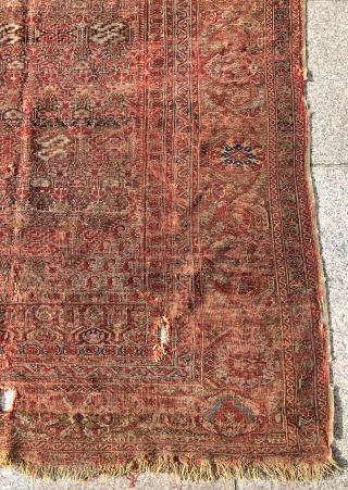 Antique Ghordes rug, mid 18th, Size 120x160 cm                         