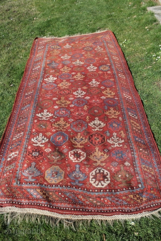 Wonderful East Anatolian Kurdisch rug circa 1900
brulliant shiny colors glassy wool good condition.
Size: 300x145cm                   