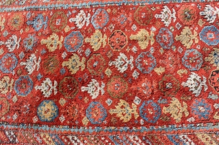 Wonderful East Anatolian Kurdisch rug circa 1900
brulliant shiny colors glassy wool good condition.
Size: 300x145cm                   