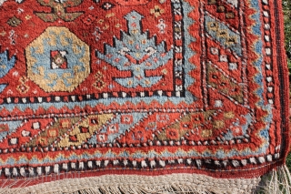 Wonderful East Anatolian Kurdisch rug circa 1900
brulliant shiny colors glassy wool good condition.
Size: 300x145cm                   