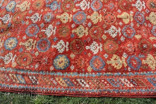 Wonderful East Anatolian Kurdisch rug circa 1900
brulliant shiny colors glassy wool good condition.
Size: 300x145cm                   