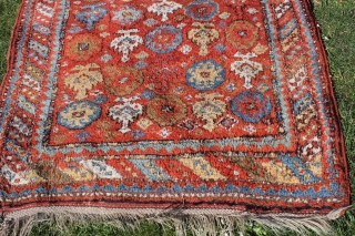 Wonderful East Anatolian Kurdisch rug circa 1900
brulliant shiny colors glassy wool good condition.
Size: 300x145cm                   