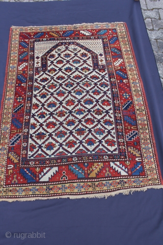 Schirwan Antique 19th century
Wool on Wool with natural colors
very good and almost intact condition.
Size: 149x198cm                  