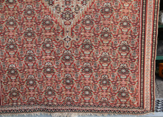 Senneh Kelim Northwest Persia Kurdistan Wool on Wool natural color Very good condition
Size: 204x132cm Price:550€ + Post                