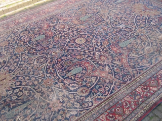 antique dorokhsh meshed persian rug circa 1900 size 210 x 340 cm 
ask about this                  