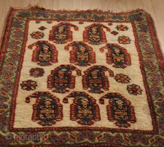 Unusual botteh bag face, Persian (could be of a Bakhtiari chanteh) fine weave, natural colors in good condition. parts of kilim remaining. 
29,5 x 39 cm.       