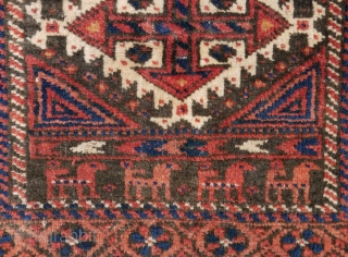 Baluch bagface with lots of goats. Good pile, good colours. wool on cotton. 61 x 53 cm                