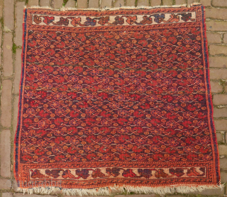Afshar poshti? small rug, floral design,  75 x 75 cm. not quite square and some moths, signs of use, and the orange has softened, although the colours look good to me.  ...