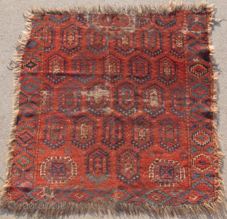 Central Asian Bashir Rug Fragment, half of a 2-1-2 smaller rug with stylized botehs. Great weave and color, Old!              