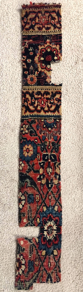 early 'vase carpet-esque' Josheghan fragment strip including borders and field.                       