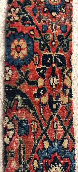 early 'vase carpet-esque' Josheghan fragment strip including borders and field.                       