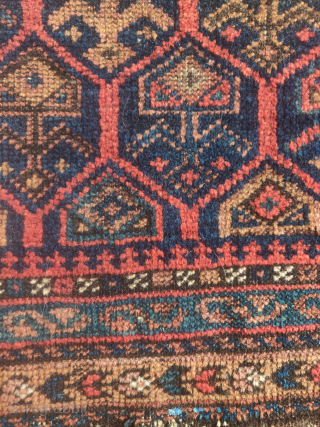 Baluch shrubs in lattice bag, nice and diverse color, dark weft, larger size than most (30"x24").There are a few knots on blue cotton at the bottom. Former James Douglas collection.   