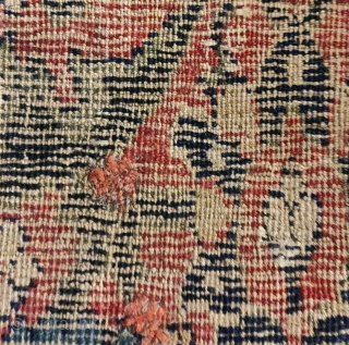 early 'vase carpet-esque' Josheghan fragment strip including borders and field.                       