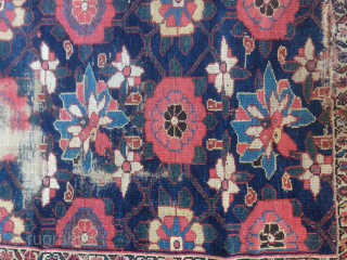 Northwest Persian Kurd with bold scale minakhani design. Cut and shut at bottom.                    