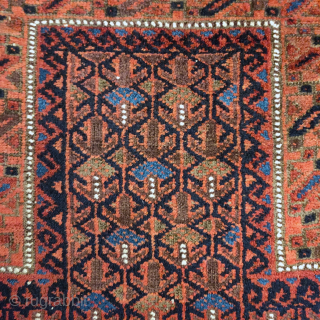 Baluch Timuri type prayer rug with a very rare rendition of abstracted geometric repeating shrubs. Leaves if light blue at the top, super soft wool, flat back. Size = 84x142cm   