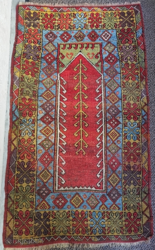 Mudjur (Mucur) or possibly Konya prayer rug. Big knots, lots of colors, all vegetal dyes with no sulfonic. 3 shades of aubergine / purple, colorful wefting including red, aubergine, brown, black, and  ...