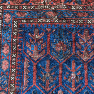 Timuri Baluch bagface with shrubs in a lattice, super polychromatic blue.                      