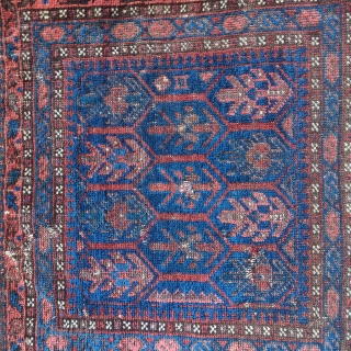 Timuri Baluch bagface with shrubs in a lattice, super polychromatic blue.                      
