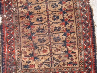 Baluch Camel Ground Prayer Rug, fantastically soft wool (just ask the moths!) saturated madder red. Great tactile quality. Good drawing with interesting asymmetries. This is a former Basha piece.
    