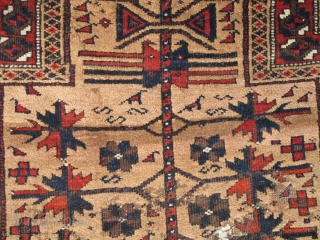 Baluch Camel Ground Prayer Rug, fantastically soft wool (just ask the moths!) saturated madder red. Great tactile quality. Good drawing with interesting asymmetries. This is a former Basha piece.
    