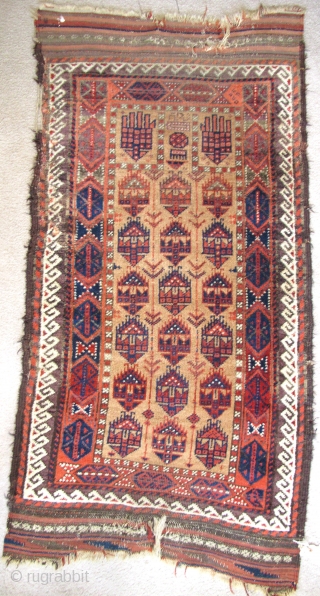 Baluch Camel-Ground Prayer Rug with shrub-like hands and an inscription in aubergine. Good pile. size is 2'7"x5'5"                