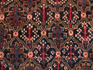 South Persian Bagface, super soft lustrous wool with a great handle. Shrubs in lattice design based on classic Garden Carpet design. The double bird border is probably an indication of Afshar work  ...