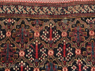 South Persian Bagface, super soft lustrous wool with a great handle. Shrubs in lattice design based on classic Garden Carpet design. The double bird border is probably an indication of Afshar work  ...