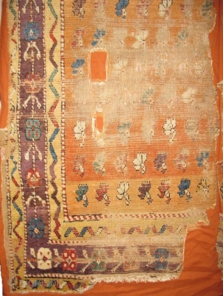 Vivid Saturated Color. Two matching fragments of an Anatolian Yatak, mounted together and conserved. multicolored carnations on a golden-saffron abrashed ground, perfect aubergine among the rainbow of colors.     