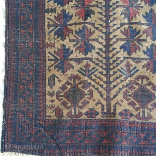 Baluch camel-ground prayer rug, excellent stylized trees, great hand panels, soft Baluchi wool with natural abrash in the camel,  saturated natural colors. Damage to the area around the mihrab. size=29"×39"  