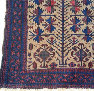 Baluch camel-ground prayer rug, excellent stylized trees, great hand panels, soft Baluchi wool with natural abrash in the camel,  saturated natural colors. Damage to the area around the mihrab. size=29"×39"  