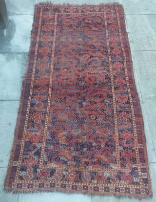 Very dynamic 'cloudband Bashir' Central Asian Turkmen carpet. Former Jim Dixon collection. Fantastic color which is not conveyed well in these images despite my best intent. A lot of great art for  ...