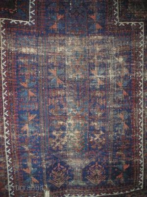 blitzed blue-ground Baluch prayer rug with a green tree in the field                     