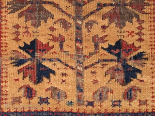 small Camel Ground Baluch Prayer Rug, elegant drawing and saturated colors. Complete with sides and ends. Probably from Northwest Afghanistan, it is an older one of this type. 2'5"x3'5"    