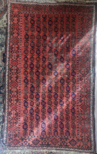 Small cinnamon ground Baluch rug with a 'scorpion' boteh field.                       