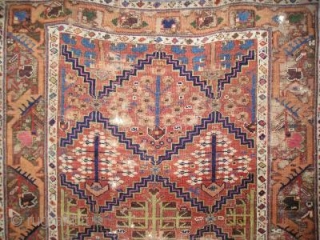 Kurdish ( Saj Bulaq? ) shrub rug with oscillating lattices radiating from rosettes framing 5 varieties of flowering plants stemming from pots. Exceptional borders with what is conservatively, in my opinion, an  ...