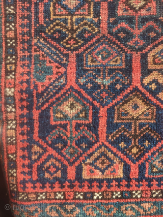Baluch shrubs in lattice bag, nice and diverse color, dark weft, larger size than most (30"x24").There are a few knots on blue cotton at the bottom. Former James Douglas collection.