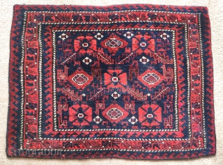 Baluch single wefted minakhani bag face, large, healthy pile, classic drawing, saturated natural color, soft and bouncy. 
35"x27"               