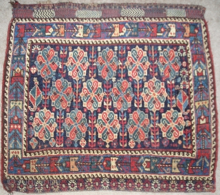 Afshar bagface with great knot/rosette design. Very graphic with good color and good condition. ( 27" x 32")               