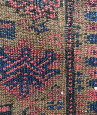 Unusual Baluch prayer rug with dark natural undyed camel wool and saturated natural dyes. An eccentric rendering of a classic design type replete with animals. Larger size than most, 3'3"x5'10"