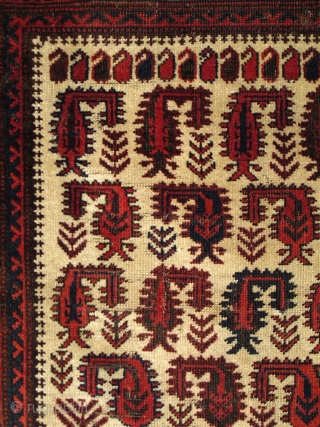 Baluch white-ground rug with scorpion-like botehs and smaller botehs                        