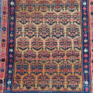 Northwest Persian Kurdish runner fragment with flowering shrubs on a gold ground, very nice color. 2'8"x6'8".                 