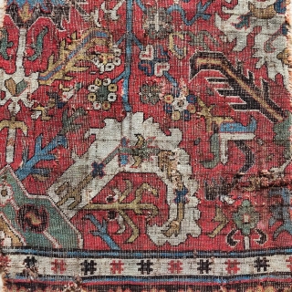 Classical Caucasian Kuba blossom carpet fragment. Great color, drawing, and structure. 2'2"x 3'7"                    