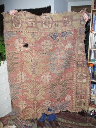 Mystery Rug Fragment, a sub-group from the so-called 'Golden Triangle' area group of rugs most frequently found in Tibet. Perhaps a 17th century Caucasian or Northwest Persian fragment. Dig the camels. Less  ...