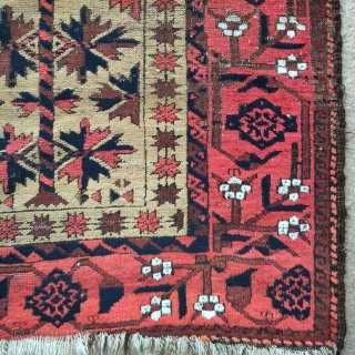 camel ground Baluch tree rug with a minakhani border. Very soft wool.                     