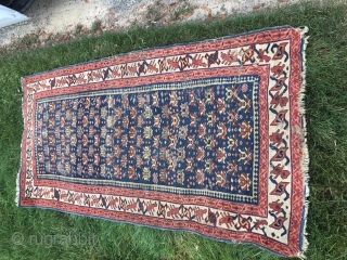 Antique Caucasian rug (Dhagestan)Ca 1900
Has some moth damage
Nice example :SOLD
                       