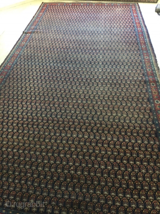 2 big carpets, 286x480 cm, and 254x351 cm, and two small carpets 90x90. More details available in private. 
              