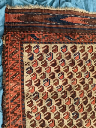 Baluch rug.  28” x 45”.  Nice design, good wool and color. Even wear, with corrosion to  the browns.  The ends are good, the selveges are rough.   